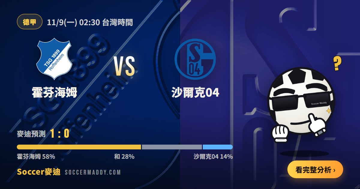 霍芬海姆 vs 沙爾克04
